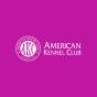 Louisville, Kentucky, United States agency (human)x helped American Kennel Club grow their business with SEO and digital marketing