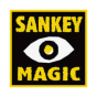Toronto, Ontario, Canada agency Purpose Path helped Sankey Magic grow their business with SEO and digital marketing