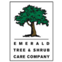 Stillwater, Minnesota, United States agency STOLBER Digital Marketing Agency helped Emerald Tree & Shrub Care Co grow their business with SEO and digital marketing