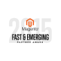 North Bend, Washington, United States agency Binary Anvil wins 2015 Magento Fast and Emerging Agency award